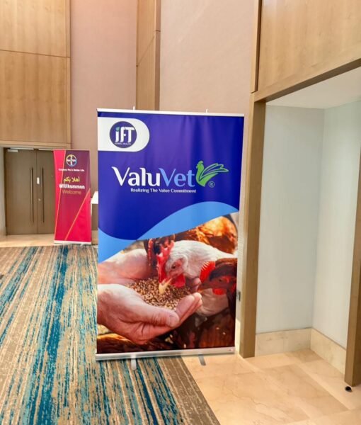 WhatsApp Image 2025-04-22 at 12.22.47 AM